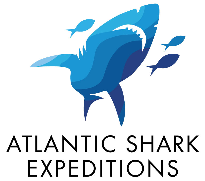 North Atlantic Shark Expeditions logo design